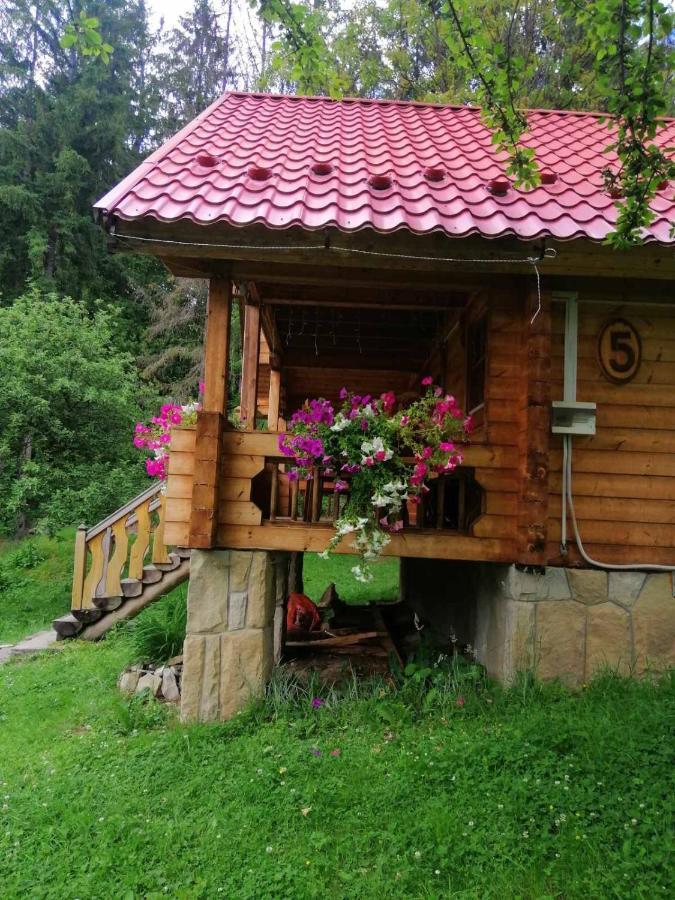 Микулин Хутірець Mykulychyn Dış mekan fotoğraf